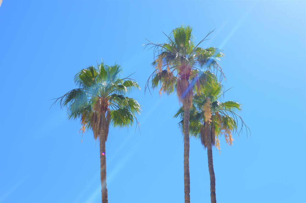 Musicland Hotel Palm Springs Luaran gambar