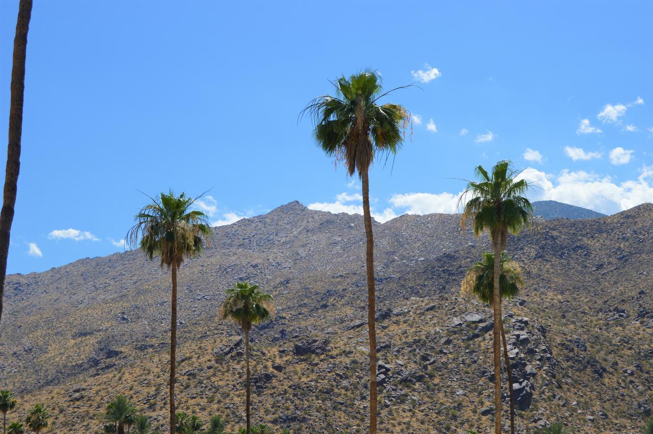 Musicland Hotel Palm Springs Luaran gambar